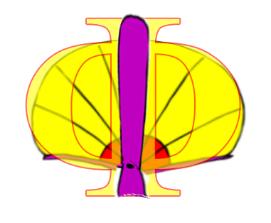 mnemonic image